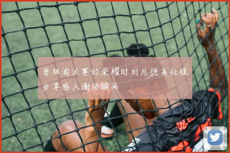晋级淘汰赛的荣耀时刻厄德高社媒分享感人谢场瞬间