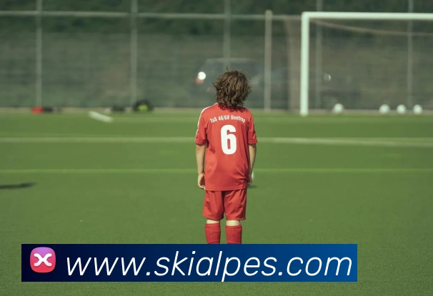 奖项证书